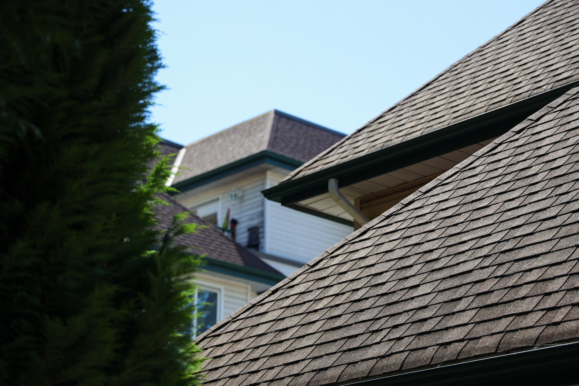 Professional roofing work